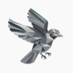 Sparrow Wallet